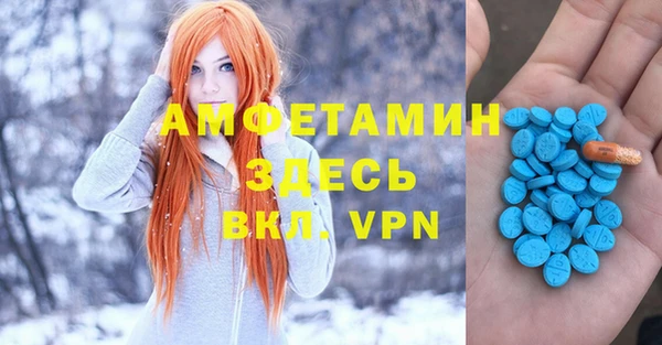 гашик Алексеевка