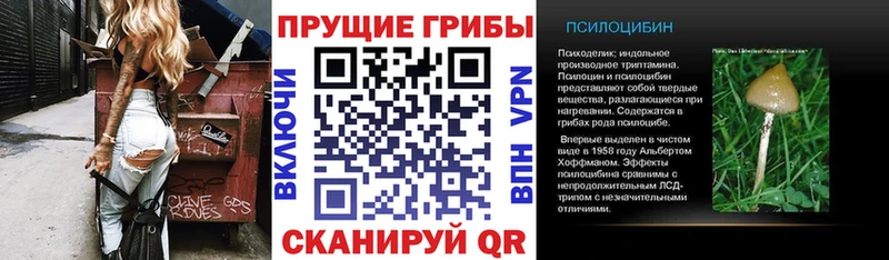 MEGA ссылки где найти наркотики Мантурово Псилоцибиновые грибы Psilocybe